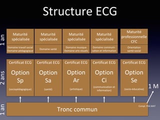 Option
Sp
(sociopédagogique)
Certificat ECG
Structure ECG
Domaine travail social
Domaine pédagogique
Maturité
spécialisée
Domaine santé
Maturité
spécialisée
Domaine musique
Domaine arts visuels
Maturité
spécialisée
Domaine communi-
cation et information
Maturité
spécialisée
Orientation
santé-social
Maturité
professionnelle
CFC
Option
Sa
(santé)
Certificat ECG
Option
Ar
(artistique)
Certificat ECG
Option
Se
(socio-éducative)
Certificat ECG
Option
Ci
(communication et
information)
Certificat ECG
Tronc commun
1 M
Compl. FRA MAT
 