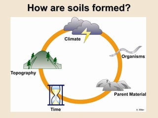 How are soils formed?




                        A. Miller
 