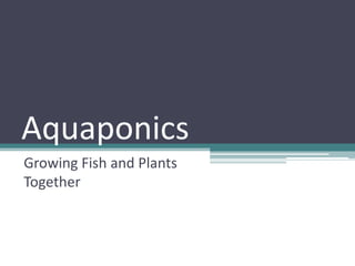 Aquaponics
Growing Fish and Plants
Together
 