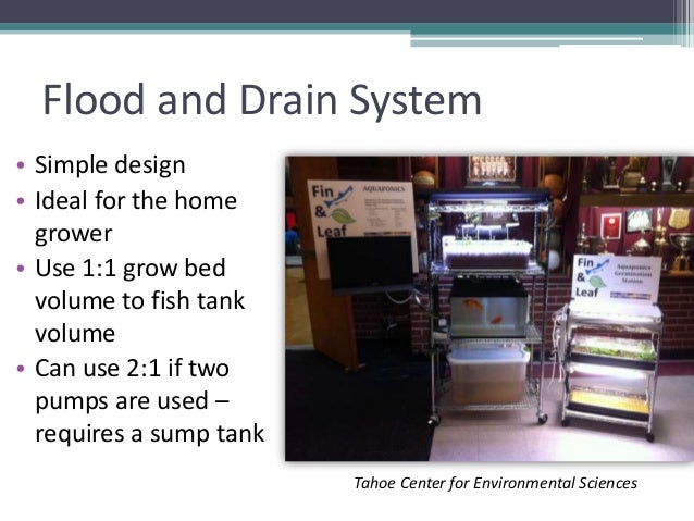 Grow Your Own, Nevada! Summer 2012: Aquaponics