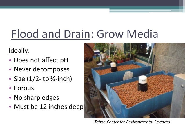grow your own, nevada! summer 2012: aquaponics