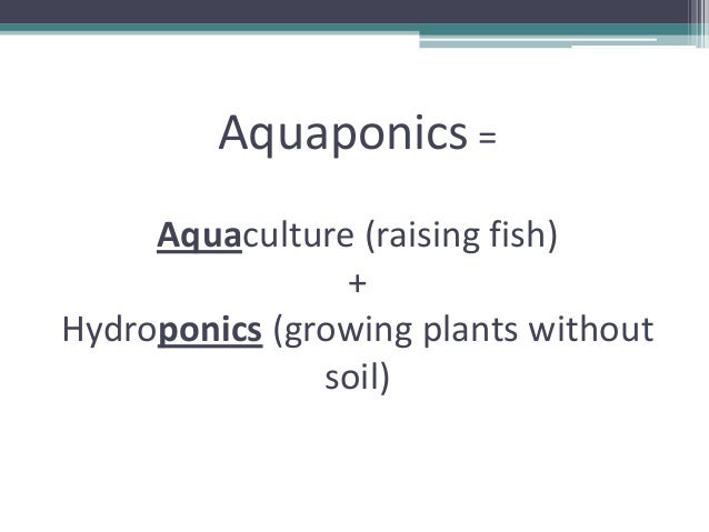 grow your own, nevada! summer 2012: aquaponics