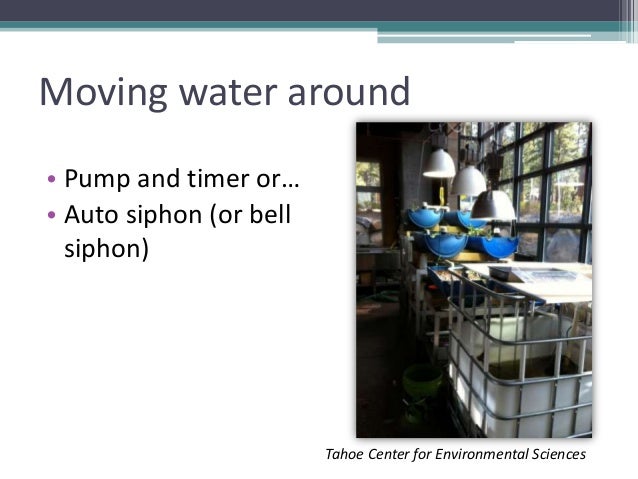 Grow Your Own, Nevada! Summer 2012: Aquaponics