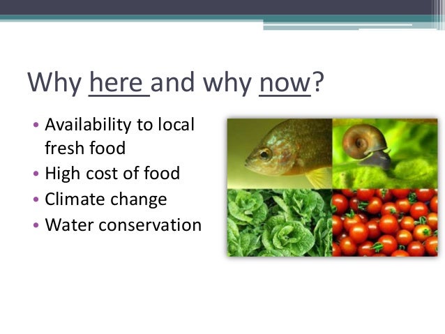 grow your own, nevada! summer 2012: aquaponics