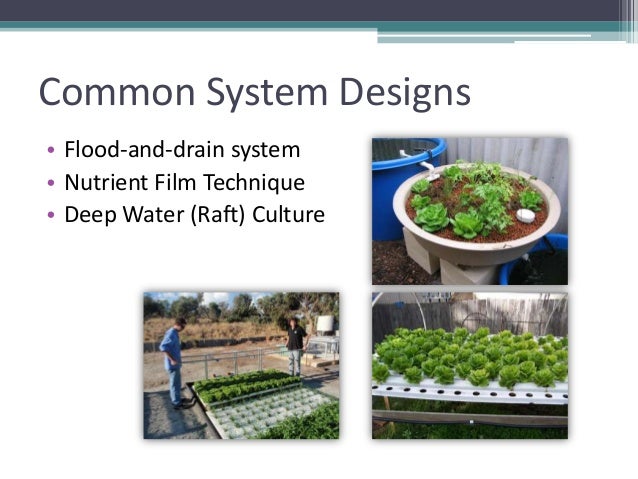 grow your own, nevada! summer 2012: aquaponics