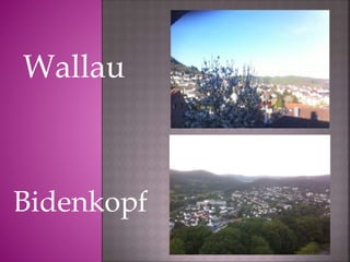 Bidenkopf
Wallau
 