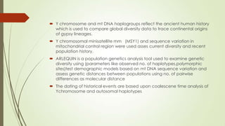  Y chromosome and mt DNA haplogroups reflect the ancient human history
which is used to compare global diversity data to trace continental origins
of gypsy lineages.
 Y chromosomal minisatellite mm (MSY1) and sequence variation in
mitochondrial control region were used asses current diversity and recent
population history.
 ARLEQUIN is a population genetics analysis tool used to examine genetic
diversity using (parameters like observed no. of haplotypes,polymorphic
sites)test demographic models based on mt DNA sequence variation and
assess genetic distances between populations using no. of pairwise
differences as molecular distance
 The dating of historical events are based upon coalescene time analysis of
Ychromosome and autosomal haplotypes
 