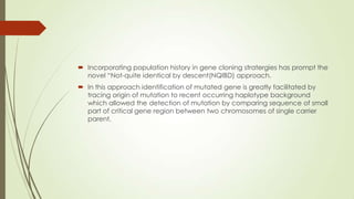  Incorporating population history in gene cloning stratergies has prompt the
novel “Not-quite identical by descent(NQIBD) approach.
 In this approach identification of mutated gene is greatly facilitated by
tracing origin of mutation to recent occurring haplotype background
which allowed the detection of mutation by comparing sequence of small
part of critical gene region between two chromosomes of single carrier
parent.
 