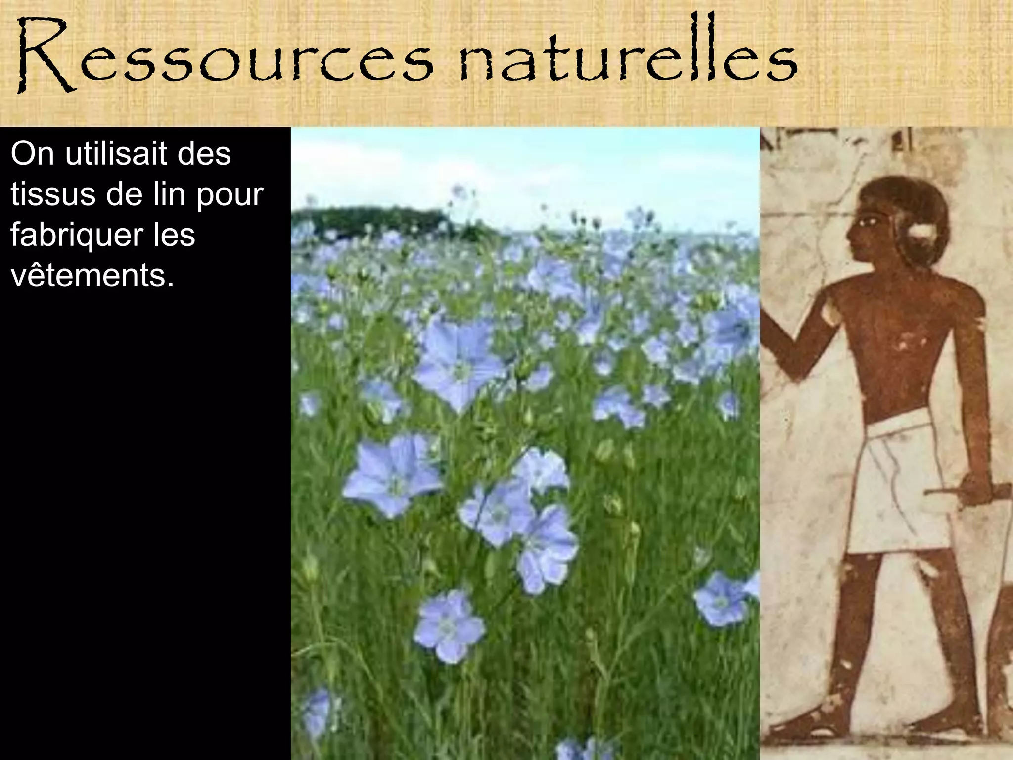 Ressources naturelles
On utilisait des
tissus de lin pour
fabriquer les
vêtements.
 