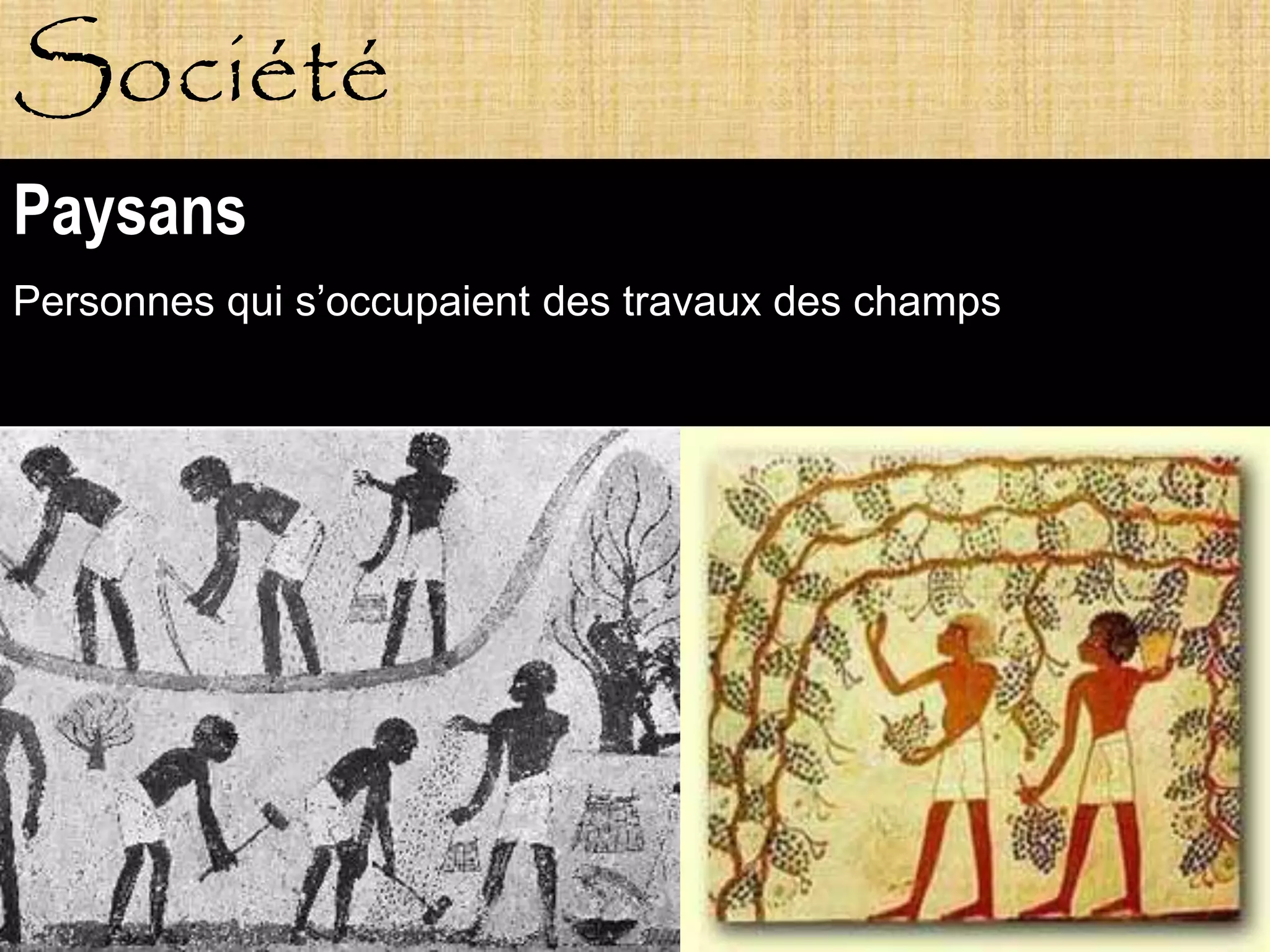 Société
Paysans
Personnes qui s’occupaient des travaux des champs
 