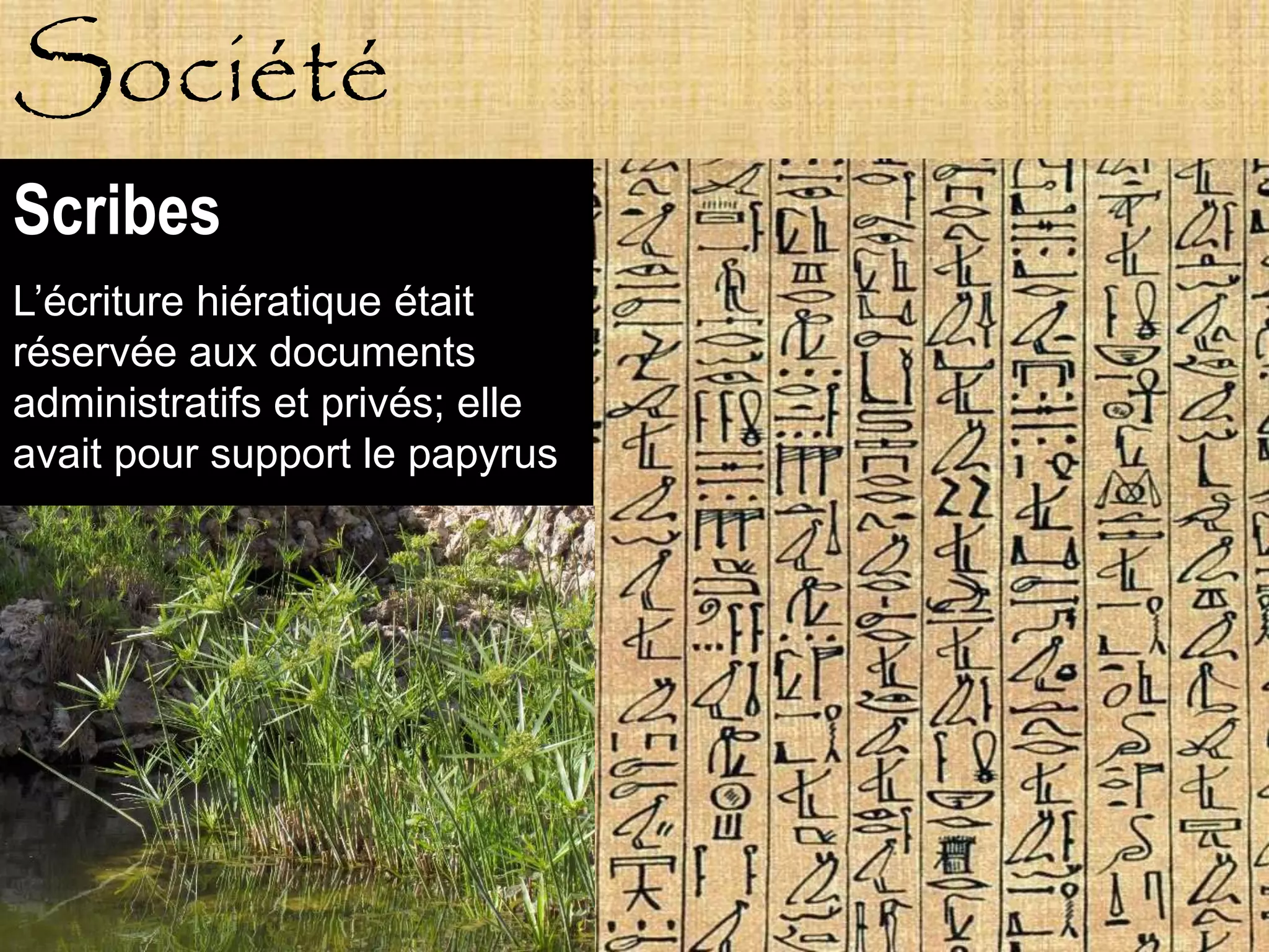 Société
Scribes
L’écriture hiératique était
réservée aux documents
administratifs et privés; elle
avait pour support le papyrus
 
