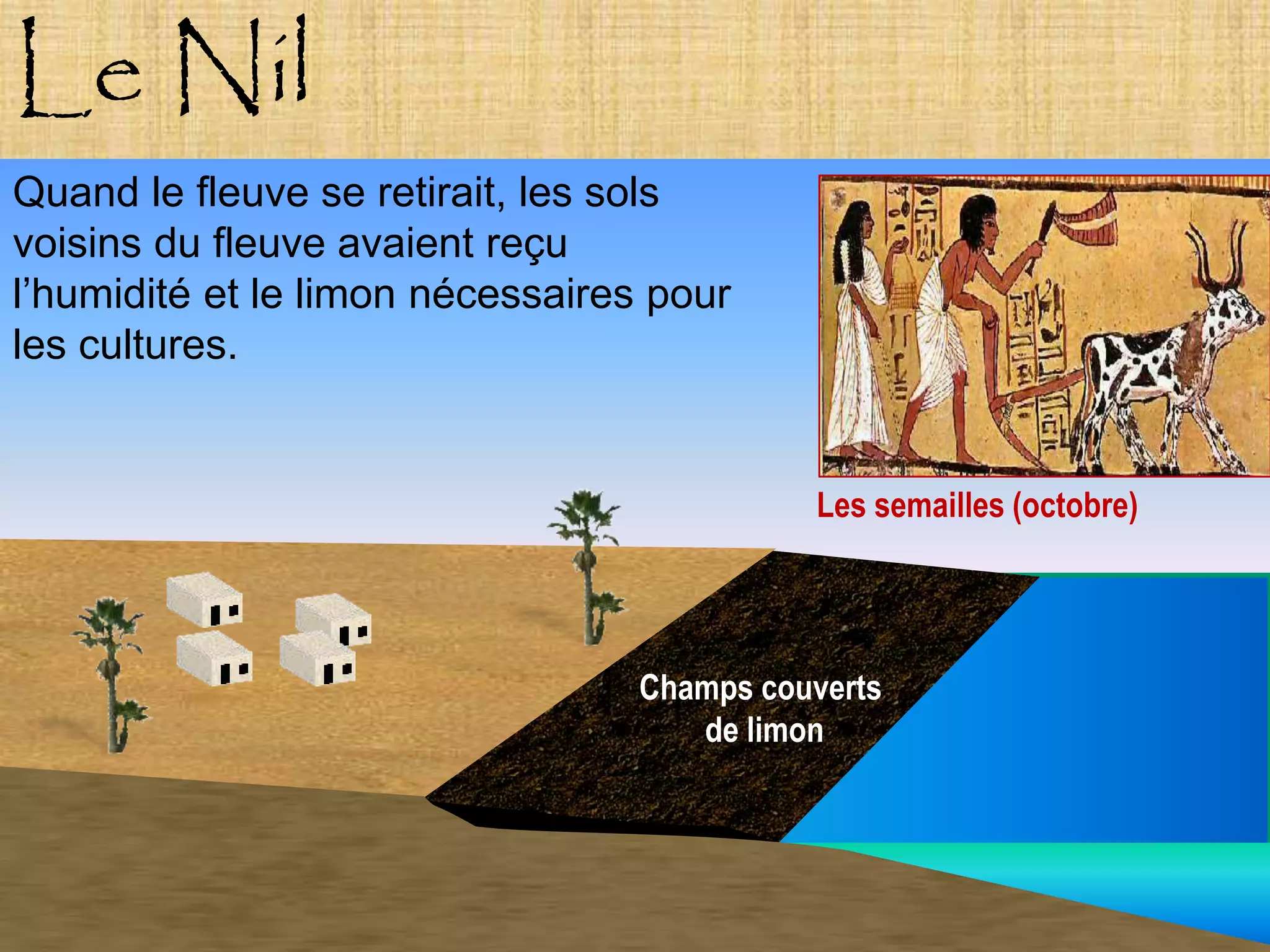 Le Nil
Quand le fleuve se retirait, les sols
voisins du fleuve avaient reçu
l’humidité et le limon nécessaires pour
les cultures.


                                            Les semailles (octobre)




                                  Champs couverts
                                     de limon
 