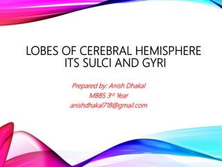 LOBES OF CEREBRAL HEMISPHERE
ITS SULCI AND GYRI
Prepared by: Anish Dhakal
MBBS 3rd Year
anishdhakal718@gmail.com
 