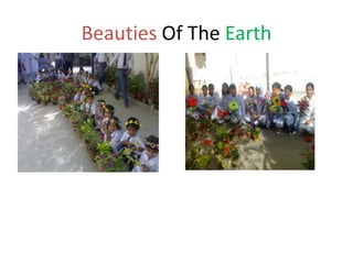 Beauties Of The Earth
 
