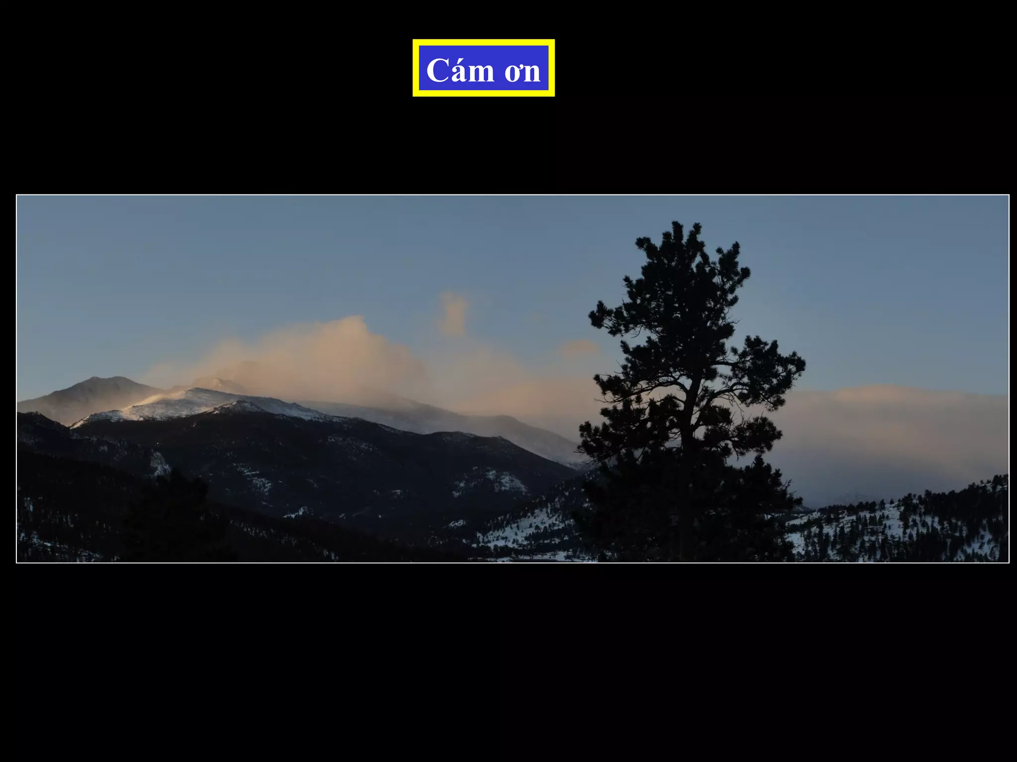 Cám ơn
 
