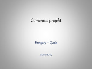 Comenius projekt
Hungary – Gyula
2013-2015
 