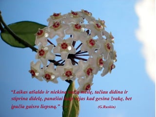 “ Laikas atšaldo ir niekina mažą meilę, tačiau didina ir stiprina didelę, panašiai kaip vėjas kad gesina žvakę, bet įpučia gaisro liepsną.”  —  (G.Ruskin) 