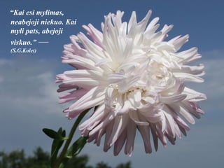 “ Kai esi mylimas, neabejoji niekuo. Kai myli pats, abejoji viskuo.”  —  (S.G.Kolet) 