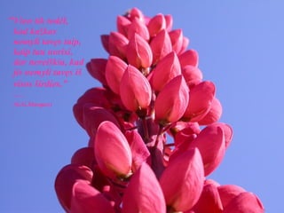 “ Vien tik todėl, kad kažkas nemyli tavęs taip, kaip tau norisi, dar nereiškia, kad jis nemyli tavęs iš visos širdies.”   —  (G.G.Marquez) 