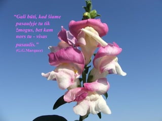 “ Gali būti, kad šiame pasaulyje tu tik žmogus, bet kam nors tu - visas pasaulis.”   ( G.G.Marquez) 