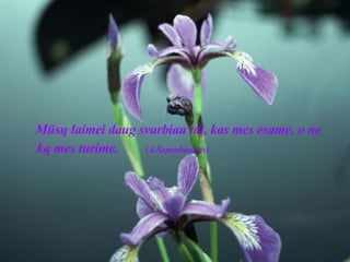 Mūsų laimei daug svarbiau tai, kas mes esame, o ne ką mes turime.   (A.Šopenhaueris) 