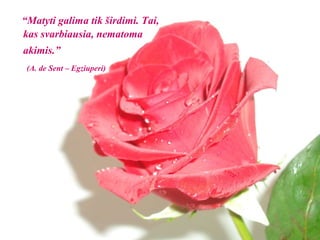 “ Matyti galima tik širdimi. Tai, kas svarbiausia, nematoma akimis.”   (A. de Sent – Egziuperi) 