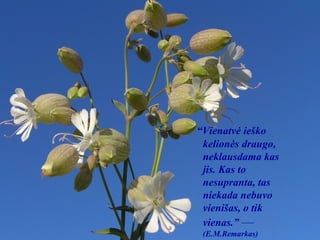 “ Vienatvė ieško kelionės draugo, neklausdama kas jis. Kas to nesupranta, tas niekada nebuvo vienišas, o tik vienas.”  —   (E.M.Remarkas) 