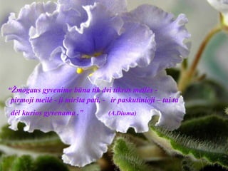 “ Žmogaus gyvenime būna tik dvi tikros meilės - pirmoji meilė - ji miršta pati, -  ir paskutinioji – tai ta dėl kurios gyvenama .”   (A.Diuma) 