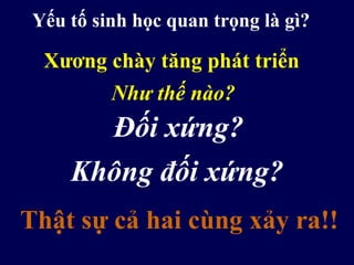 Yếu tố sinh học quan trọng là gì?
Đối xứng?
Thật sự cả hai cùng xảy ra!!
Xương chày tăng phát triển
Như thế nào?
Không đối xứng?
 