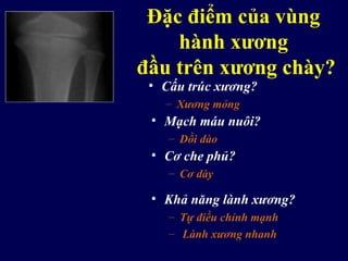 Đặc điểm của vùng
hành xương
đầu trên xương chày?
• Cấu trúc xương?
– Xương mỏng
• Mạch máu nuôi?
– Dồi dào
• Cơ che phủ?
– Cơ dày
• Khả năng lành xương?
– Tự điều chỉnh mạnh
– Lành xương nhanh
 