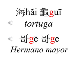 海hăi 龜guī
tortuga
哥gē 哥ge
Hermano mayor
 