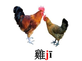 雞jī
 