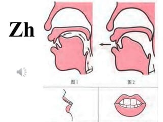 Zh
 