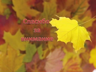 пролетело лето