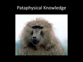 Pataphysical Knowledge
 