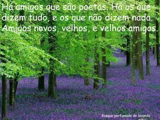 Bosque perfumado de lavanda Há amigos que são poetas. Há os que dizem tudo, e os que não dizem nada. Amigos novos, velhos, e velhos amigos. 