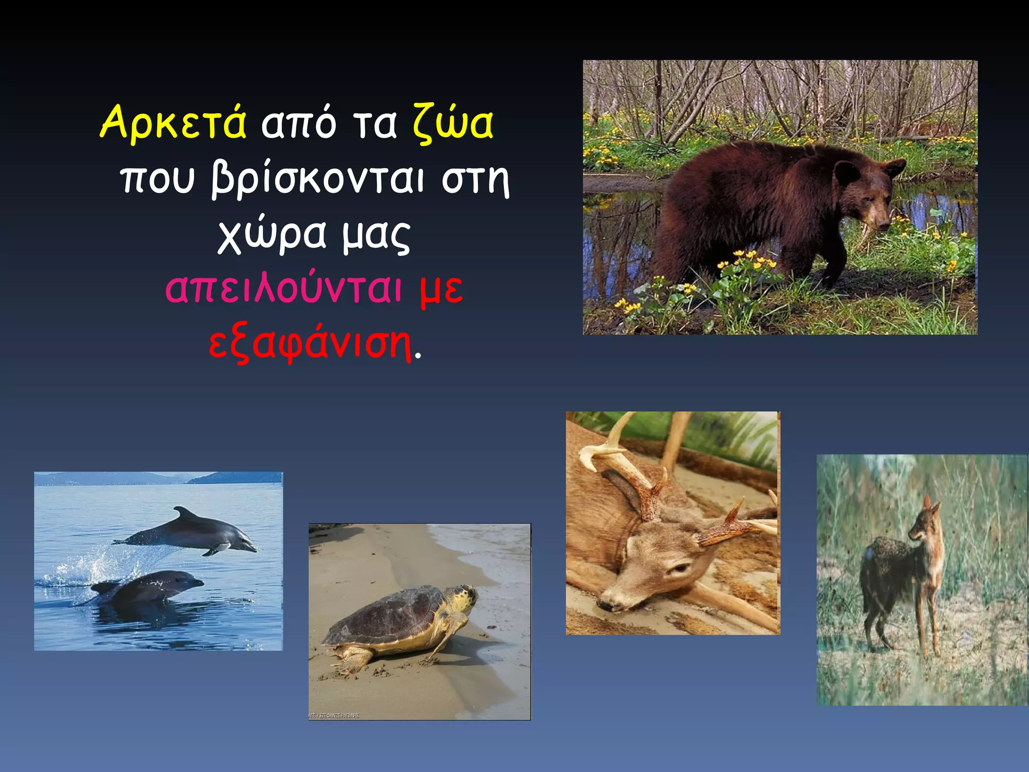 Αρκετά  από τα  ζώα  που βρίσκονται στη χώρα μας  απειλούνται   με εξαφάνιση . 