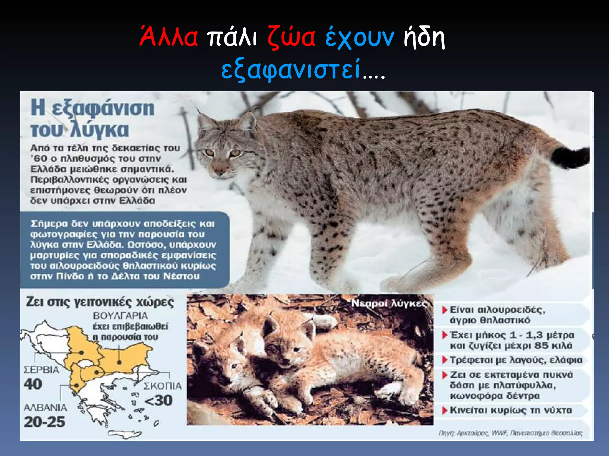 Άλλα  πάλι  ζώα  έχουν  ήδη  εξαφανιστεί …. 