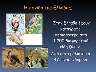 Στην Ελλάδα έχουν καταγραφεί περισσότερα από 1.200 διαφορετικά είδη ζώων.  Από αυτά μάλιστα τα 47 είναι ενδημικά. H  πανίδα της Ελλάδας. 