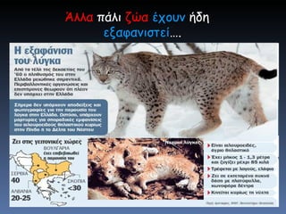 Άλλα  πάλι  ζώα  έχουν  ήδη  εξαφανιστεί …. 