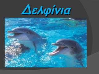 Δελφίνια
 