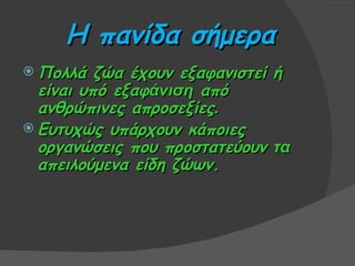 Η πανίδα σήμερα
 Πολλά   ζώα έχουν εξαφανιστεί ή
  είναι υπό εξαφάνιση από
  ανθρώπινες απροσεξίες.
 Ευτυχώς υπάρχουν κάποιες
  οργανώσεις που προστατεύουν τα
  απειλούμενα είδη ζώων.
 