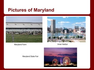 Pictures of Maryland




  Maryland Farm                 Inner Harbor




          Maryland State Fair
 