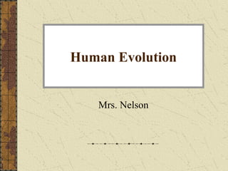 Human Evolution
Mrs. Nelson
 