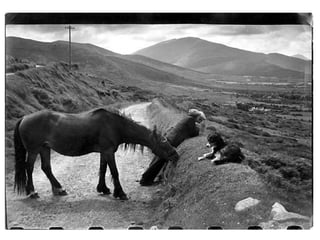 Henri Cartier-Bresson / e