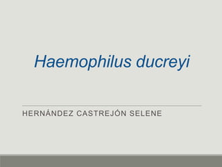 Haemophilus ducreyi
HERNÁNDEZ CASTREJÓN SELENE

 