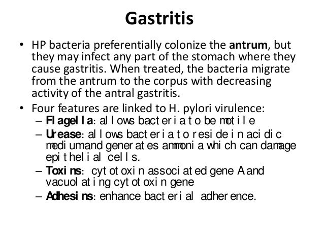 What bacteria is associated with gastritis in the abdominal antrum?