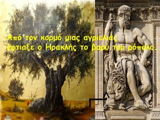 Από τον κορμό μιας αγριελιάς 
έφτιαξε ο Ηρακλής το βαρύ του ρόπαλο. 
 