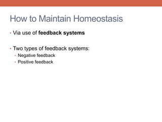 How to Maintain Homeostasis 
• Via use of feedback systems 
• Two types of feedback systems: 
• Negative feedback 
• Positive feedback 
 