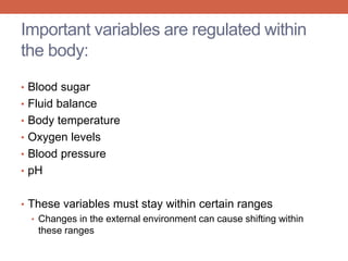 Important variables are regulated within 
the body: 
• Blood sugar 
• Fluid balance 
• Body temperature 
• Oxygen levels 
• Blood pressure 
• pH 
• These variables must stay within certain ranges 
• Changes in the external environment can cause shifting within 
these ranges 
 
